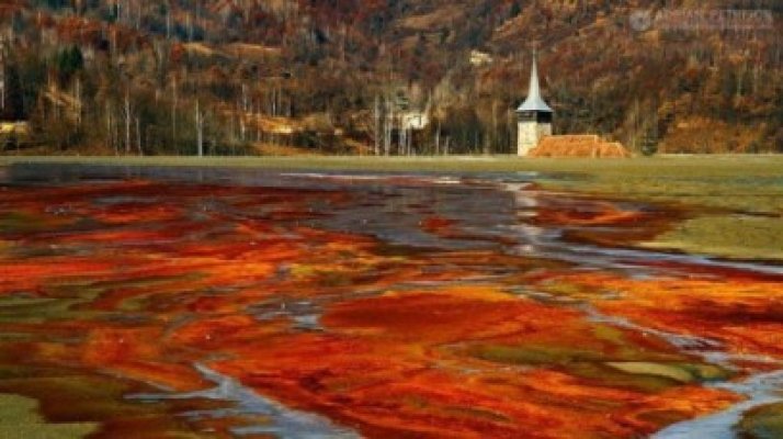 Remus Cernea şi Ovidiu Iane propun un proiect de lege pentru interzicerea cianurilor în minerit